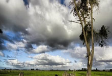 5款微信小游戏推荐